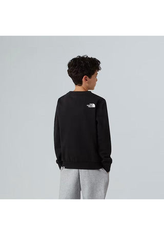THE NORTH FACE FELPA