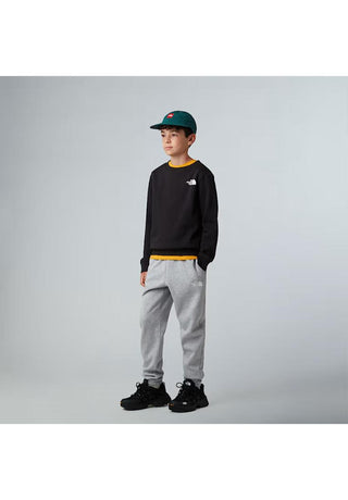THE NORTH FACE FELPA