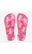 FUXIA (5784)