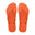 ARANCIONE (5568)