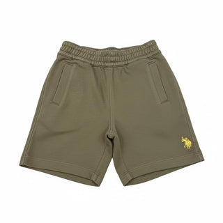U.S. POLO ASNN. Bermuda  in cotone