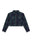 BLU (L81V)