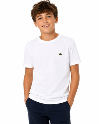 LACOSTE T-Shirt