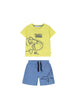 GIALLO (812L)
