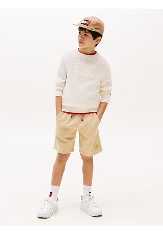 Tommy Hilfiger Pullover Signature con logo tono su tono