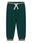 VERDE (G8J3)