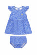 BLU (P43C)