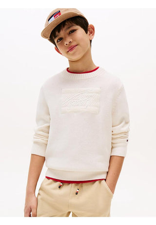 Tommy Hilfiger Pullover Signature con logo tono su tono