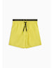 GIALLO (12582)
