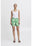 VERDE (204610)