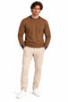 CAMEL (A0252)
