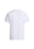 BIANCO (FN41)