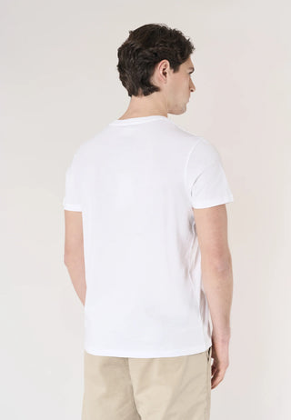 U.S. POLO ASNN. T Shirt in jersey