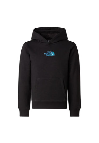 THE NORTH FACE FELPA Felpa con cappuccio Liquid Logo Regular da ragazzo