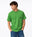 VERDE (E00237)