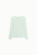 MENTA (3705)