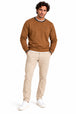CAMEL (A0252)